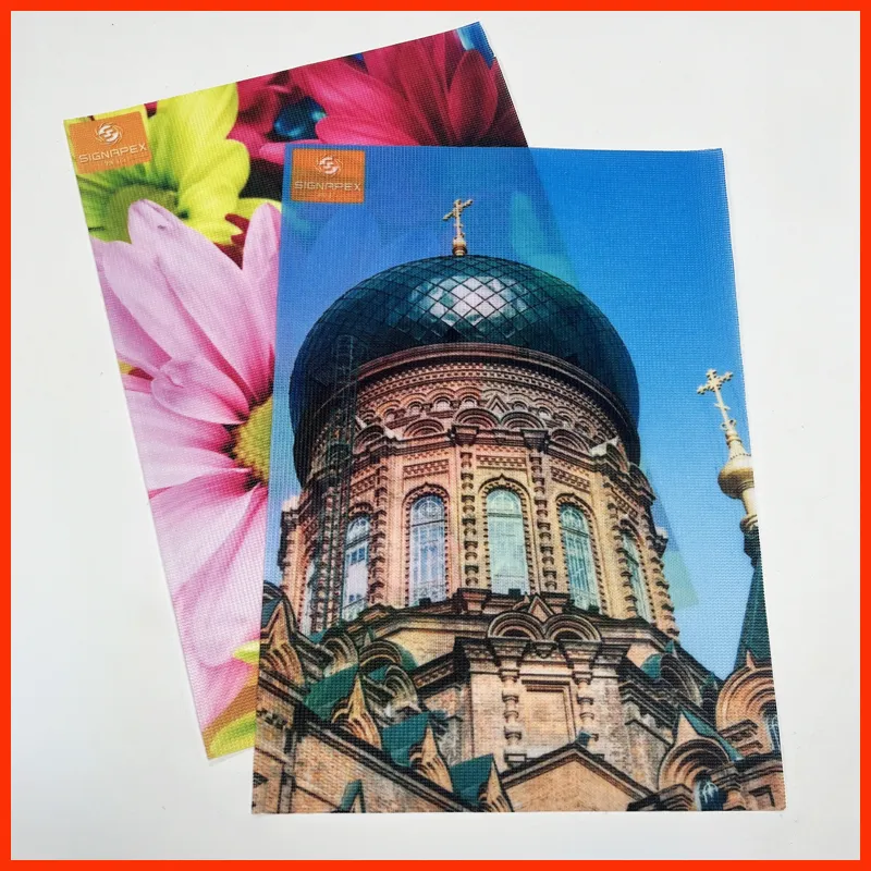 SIGNAPEX Strong Flag-2