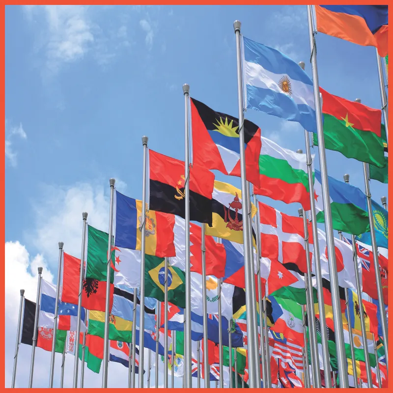 signapex woven flag fabric 3